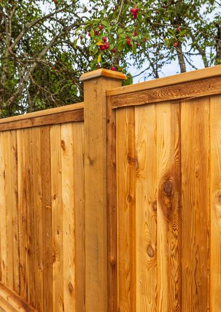 fence staining service example