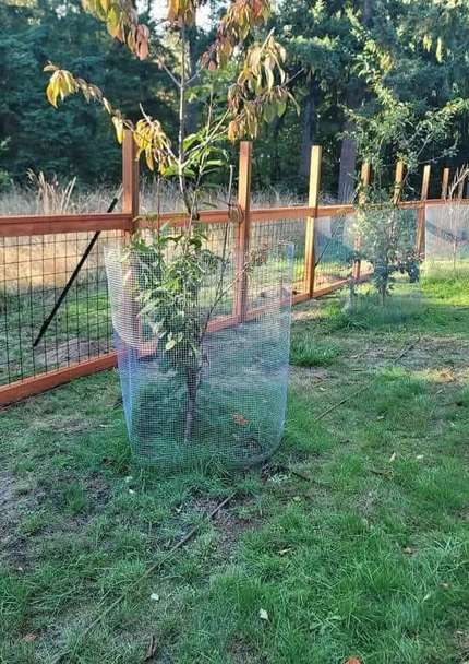 fence repair service example